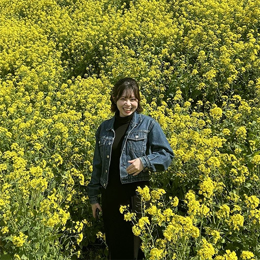 ひよちっくの写真