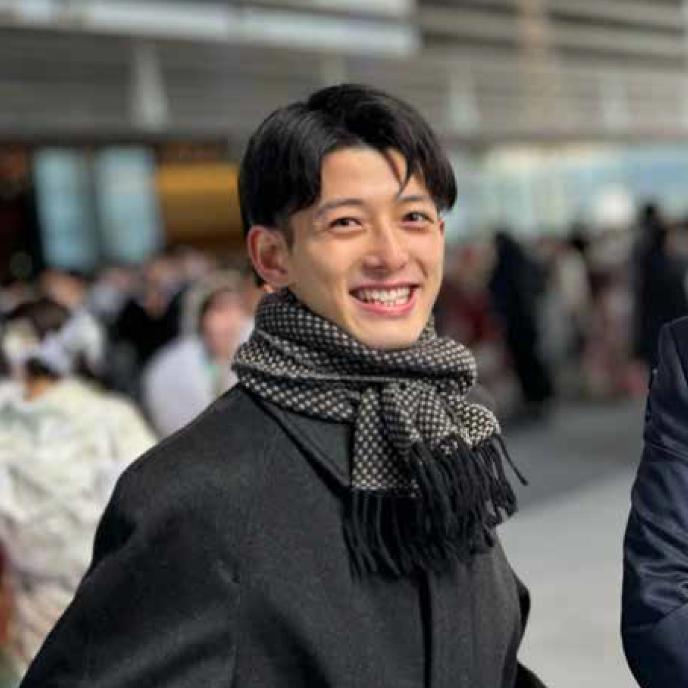 キャメルの写真